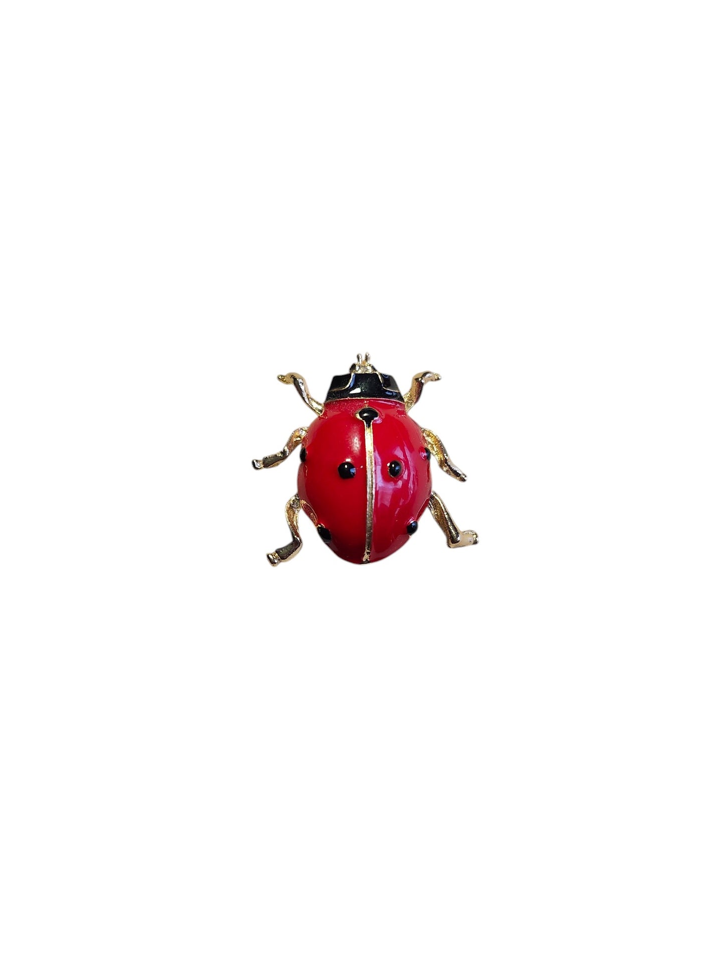 Lady Bug Pin